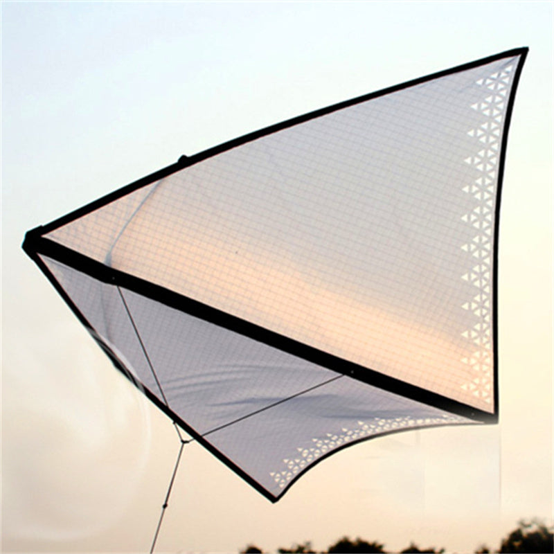 free shipping Freilein Kite single line kites for adults kites flying indoor kites hovering eagle kite ripstop nylon fabric koi