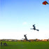 kite pendant soft inflatable kite pendant for audlts outdoor fun large kite line laundry for free shipping