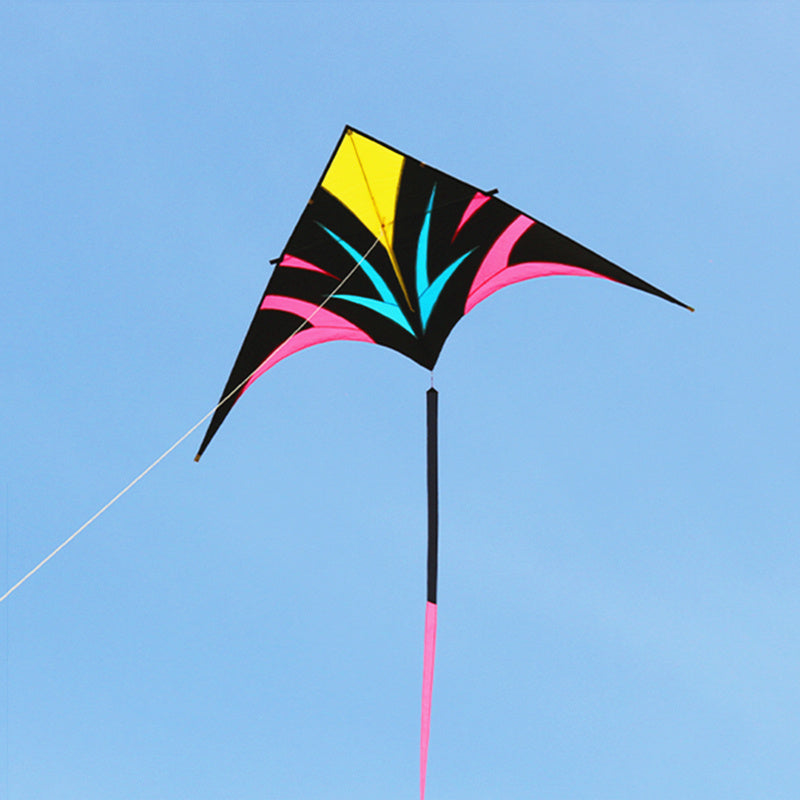 free shipping large delta kites flying for adults kites reel professional wind kites factory pocket kite sports toys Eagle kite