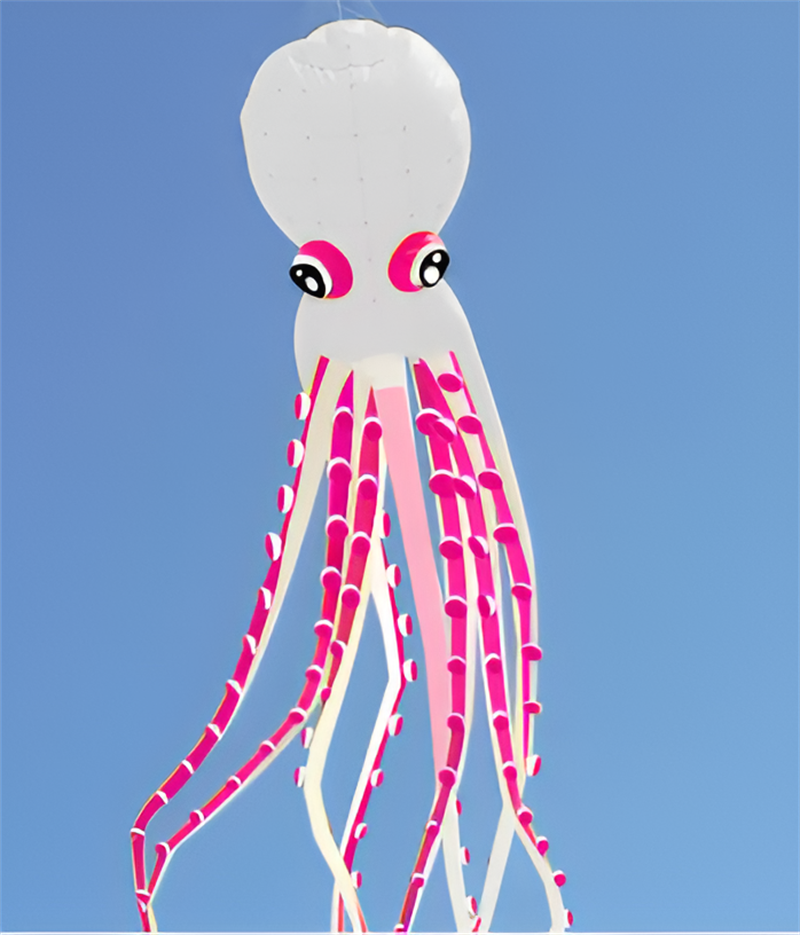free shipping 26m big kite octopus kite pendant inflatable kite for adults kite buggy kitesurf board weifang kite factory toys
