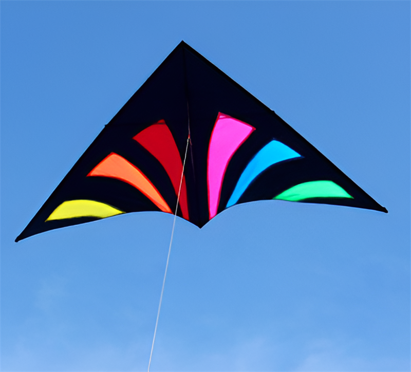 free shipping rainbow delta kites for adults reel windsocks kite flying children kite string weifang kite factory Single line
