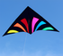 free shipping rainbow delta kites for adults reel windsocks kite flying children kite string weifang kite factory Single line