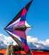 Free shipping 2023 new Weifang rainbow stunt size kite children breeze easy to fly rotatable adult special wheel