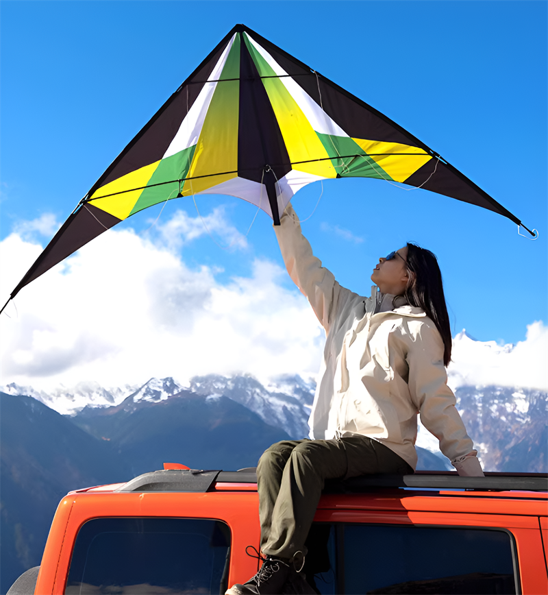 Free shipping 2023 new Weifang rainbow stunt size kite children breeze easy to fly rotatable adult special wheel