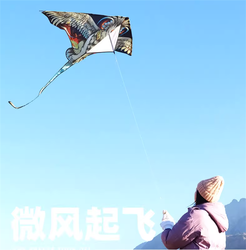 Free shipping 2023 new Weifang bird lion god beast size kite children breeze easy to fly handheld line roulette adult special