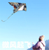 Free shipping 2023 new Weifang bird lion god beast size kite children breeze easy to fly handheld line roulette adult special