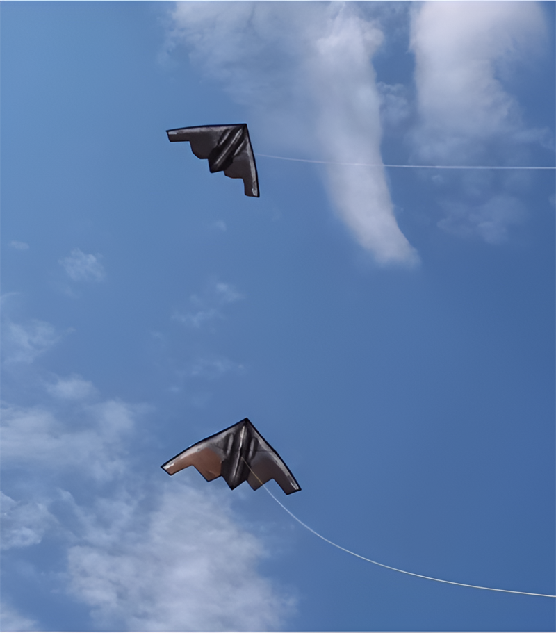 Free shipping Weifang new airplane new style kite children breeze easy to fly bomber kite adults special large high-grade