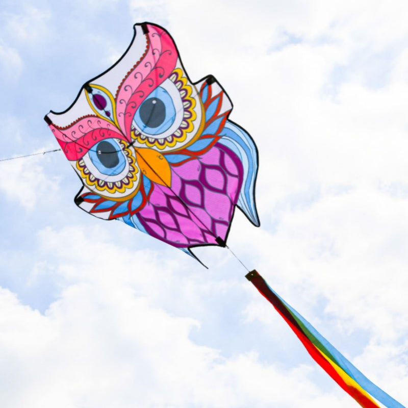 Free shipping 2023 New Weifang Owl large and small kites for children breeze easy to fly handheld line roulette for adults
