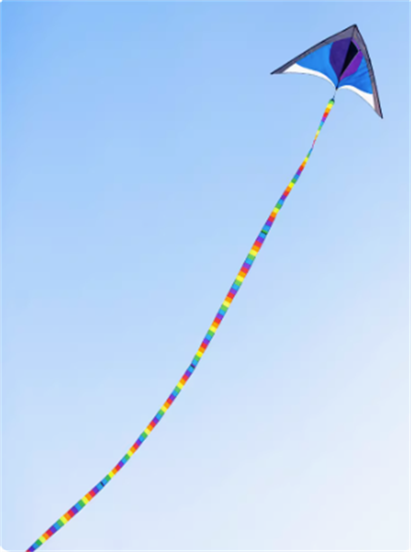 Free shipping 2023 new Weifang net red long tail size kite children breeze easy to fly handheld line roulette adult special