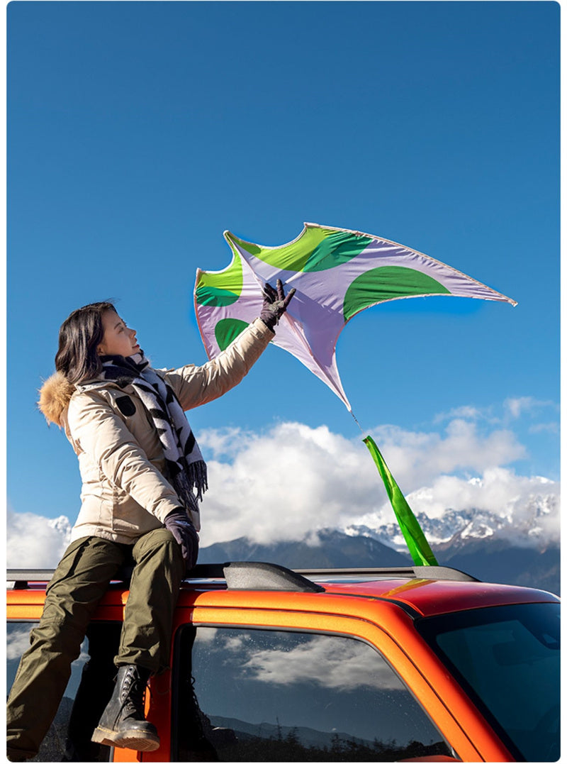 Free shipping 2023 new Weifang net red flying eagle size kite children breeze easy to fly hand-held line roulette adult special
