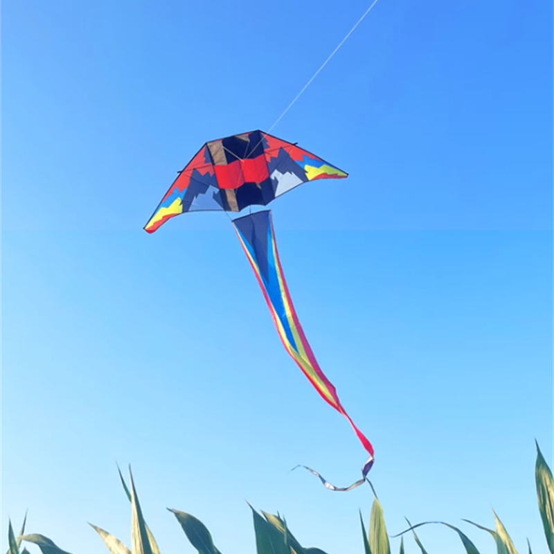 Free shipping 2023 new large glider kites adult special breeze easy to fly long tail high-grade net red wholesale resin bar