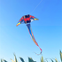 Free shipping 2023 new large glider kites adult special breeze easy to fly long tail high-grade net red wholesale resin bar