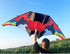 Free shipping 2023 new large glider kites adult special breeze easy to fly long tail high-grade net red wholesale resin bar