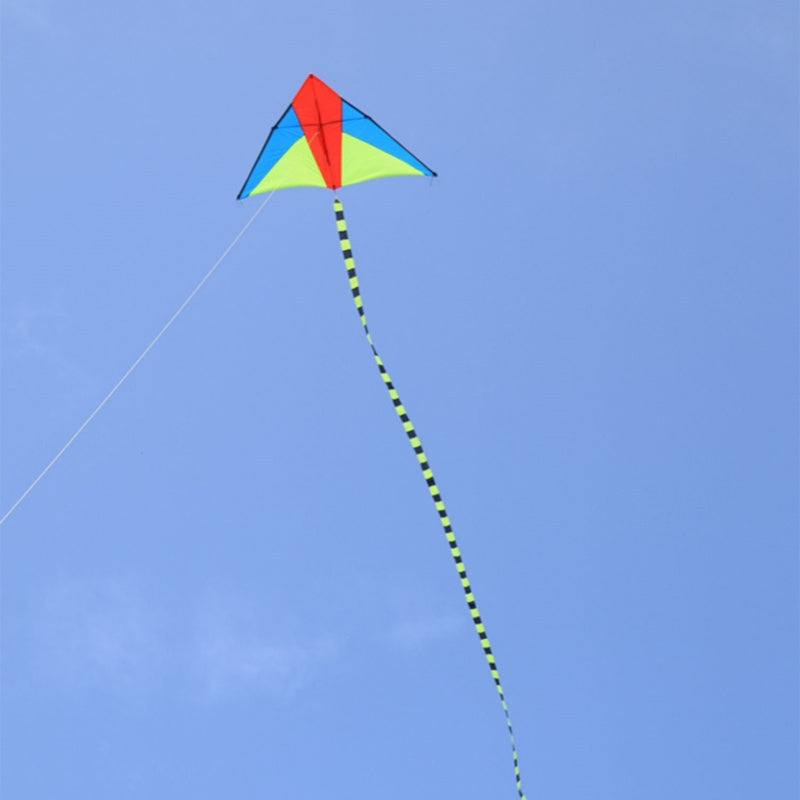 Free shipping 2023 new Wang foreign-accented Weifang kite large triangle umbrella cloth carbon rod adult breeze good flying beginner