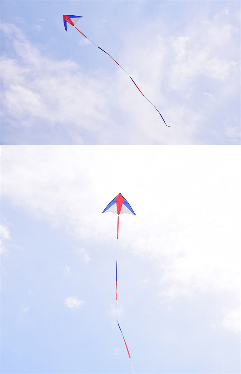 Free shipping 2023 new Wang foreign-accented Weifang kite large triangle umbrella cloth carbon rod adult breeze good flying beginner