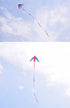 Free shipping 2023 new Wang foreign-accented Weifang kite large triangle umbrella cloth carbon rod adult breeze good flying beginner