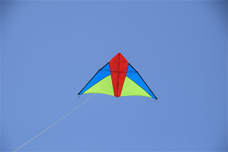 Free shipping 2023 new Wang foreign-accented Weifang kite large triangle umbrella cloth carbon rod adult breeze good flying beginner