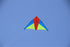 Free shipping 2023 new Wang foreign-accented Weifang kite large triangle umbrella cloth carbon rod adult breeze good flying beginner