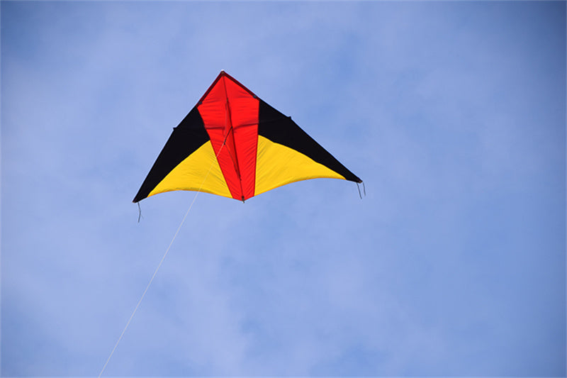 Free shipping 2023 new Wang foreign-accented Weifang kite large triangle umbrella cloth carbon rod adult breeze good flying beginner