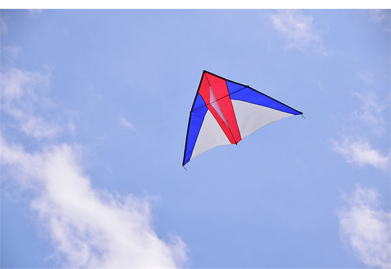 Free shipping 2023 new Wang foreign-accented Weifang kite large triangle umbrella cloth carbon rod adult breeze good flying beginner