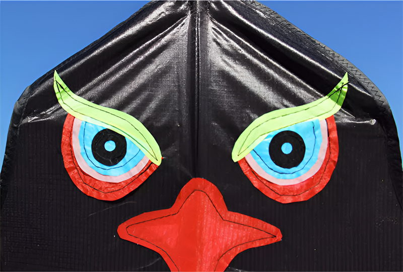 Free shipping 2023 New Weifang 3.6 meters umbrella cloth large black eagle eagle spread wings front spreader bar large steel eagle large kites