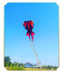 Free shipping Weifang soft goldfish kite new style 3D stereoscopic net red long tail good fly adults special high-grade large kites