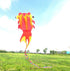 Free shipping Weifang soft goldfish kite new style 3D stereoscopic net red long tail good fly adults special high-grade large kites