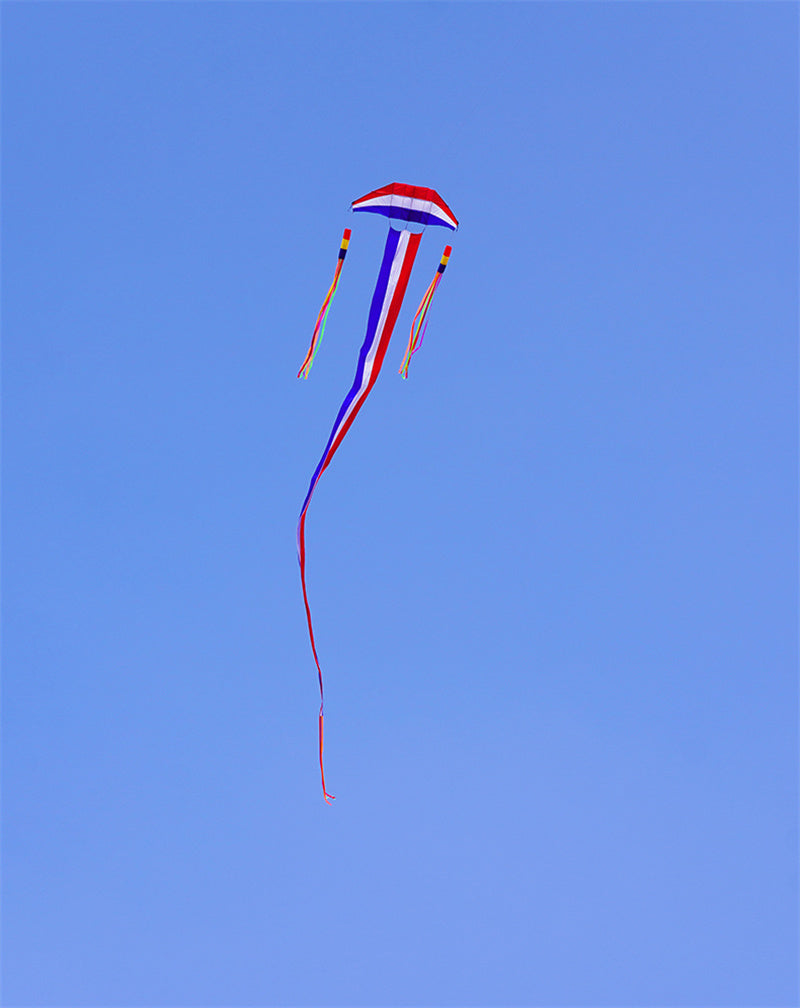 Free shipping 2023 new 544 soft parachute cloth glider kite adults special anti-gale plucking anti-gale carbon rod resin