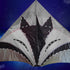 Free shipping 2023 new style chaser glow-in-the-dark silver fox kite Wanhe patch light high-grade adults adults only