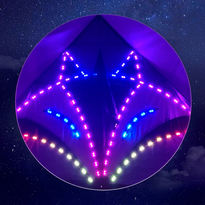 Free shipping 2023 new style chaser glow-in-the-dark silver fox kite Wanhe patch light high-grade adults adults only