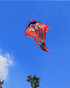 Free shipping 2023 new style colorful rich fish kites for adults high-grade Weifang net red breeze easy to fly children