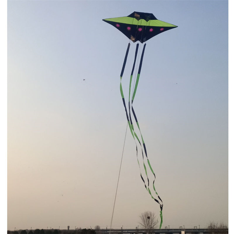 Free shipping Kite Flyer 544 Umbrella Cloth 2023 New Adult High-end Grownups Specialized Breeze Easy to Fly