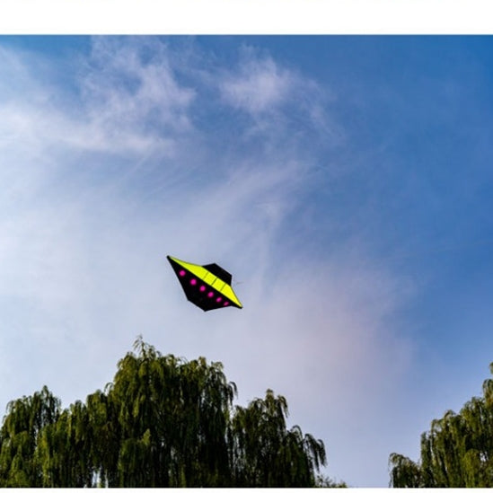 Free shipping Kite Flyer 544 Umbrella Cloth 2023 New Adult High-end Grownups Specialized Breeze Easy to Fly