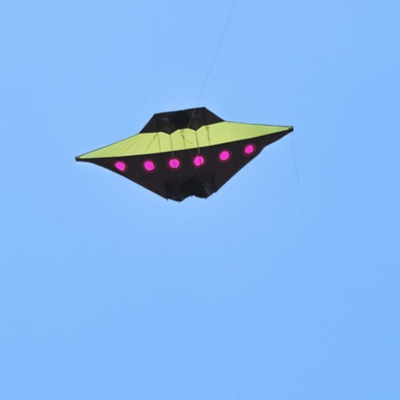 Free shipping Kite Flyer 544 Umbrella Cloth 2023 New Adult High-end Grownups Specialized Breeze Easy to Fly
