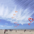 Free Shipping 3d kites heart kites flying nylon kites  factory