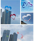Free Shipping 3d kites heart kites flying nylon kites  factory