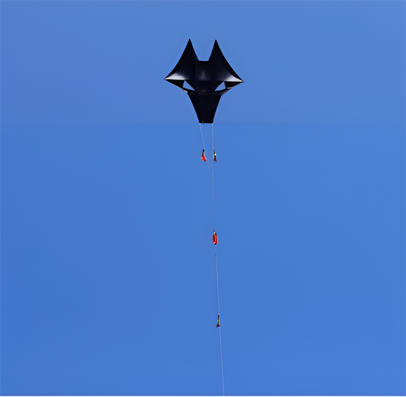 Free shipping New Weifang wolf head totem kite adult large anti-gale triangle kite professional high-grade breeze easy to fly