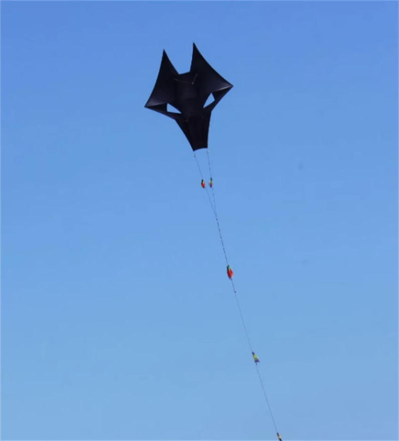 Free shipping New Weifang wolf head totem kite adult large anti-gale triangle kite professional high-grade breeze easy to fly