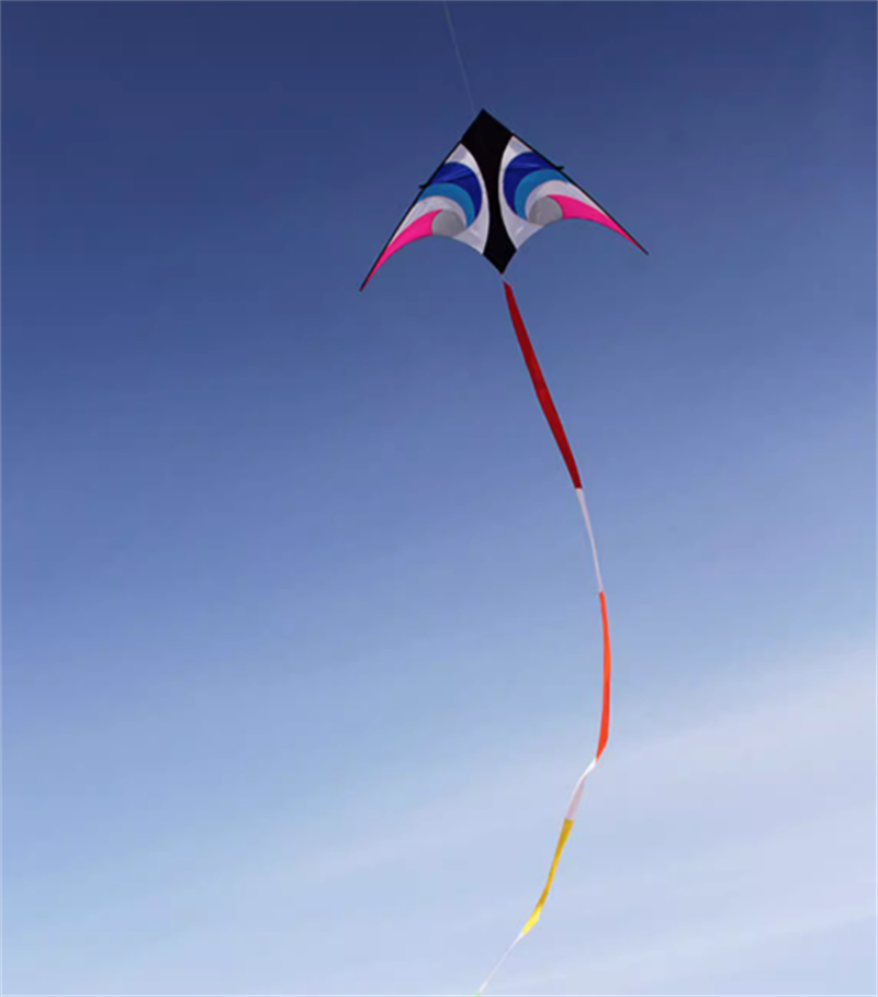 Free shipping 2023 New Weifang Sky Eye Umbrella Cloth Carbon Bar Large Adult Long Tail Good Flying Beginner Kite