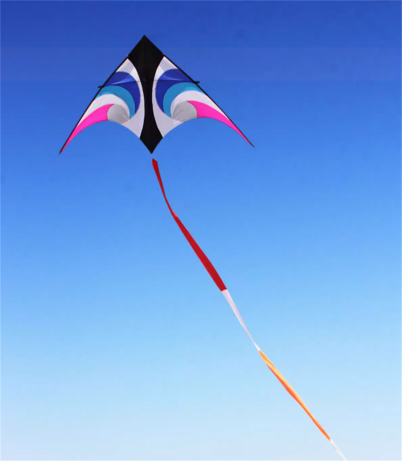 Free shipping 2023 New Weifang Sky Eye Umbrella Cloth Carbon Bar Large Adult Long Tail Good Flying Beginner Kite