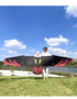 Free shipping 3.6 Meter Board Eagle Kite Professional Umbrella Cloth Carbon Bar Large Adult Easy Fly High Grade Wind Resistant Eagle