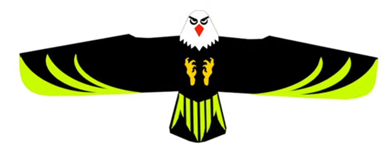 Free shipping 3.6 Meter Board Eagle Kite Professional Umbrella Cloth Carbon Bar Large Adult Easy Fly High Grade Wind Resistant Eagle