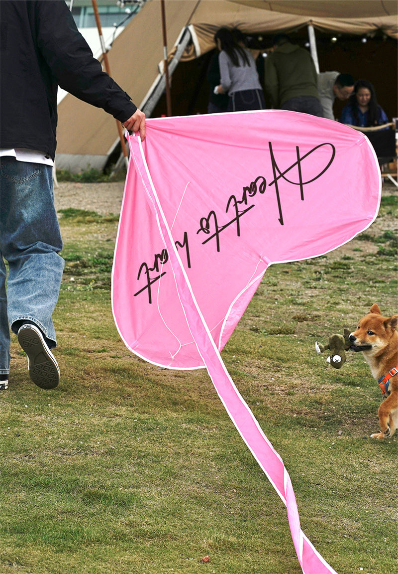 Free shipping URFF DECO pink heart kite love beginner easy to fly high color long tail outdoor couple children camping
