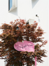 Free shipping URFF DECO pink heart kite love beginner easy to fly high color long tail outdoor couple children camping