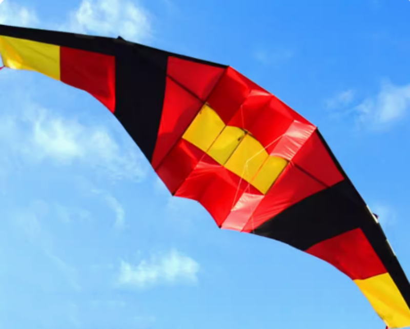 Free shipping 2023 new 544 soft parachute cloth 5 meters glider big kite good flying adult kite pulling high wind-resistant carbon bar resin