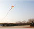 Free shipping 2023 Kite Long Tail Snake Kite Big Snake Red Flame Snake Kite Breeze Easy to Fly Adult Children Large High Grade