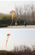 Free shipping 2023 Kite Long Tail Snake Kite Big Snake Red Flame Snake Kite Breeze Easy to Fly Adult Children Large High Grade