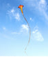 Free shipping 2023 Kite Long Tail Snake Kite Big Snake Red Flame Snake Kite Breeze Easy to Fly Adult Children Large High Grade