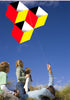 Free shipping Weifang kite three-dimensional kite Rubik's cube kite new adult children cartoon kite line wheel breeze easy to fly