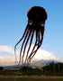 free shipping 23m octopus kite for adults kite professional kites factroy soft power kites nylon wind air inflatable ikite